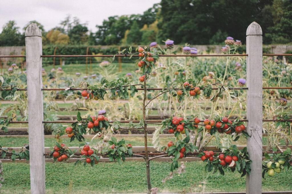 Garden Cottage, Fochabers Dış mekan fotoğraf